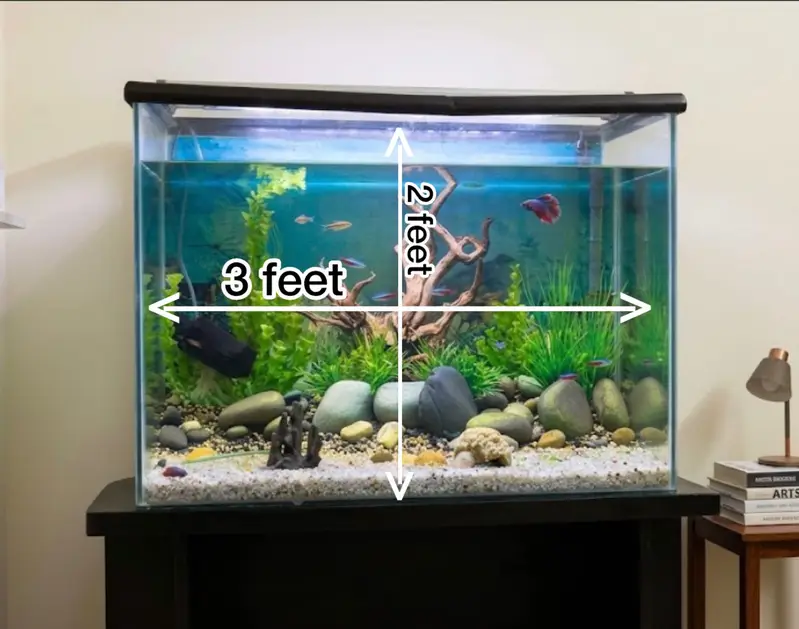 3 feet Aquarium for sell — photo 3