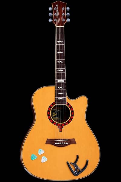 brand new guitar bag, pic, capo sath milyga