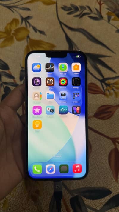 Apple iPhone 13 Pro Max