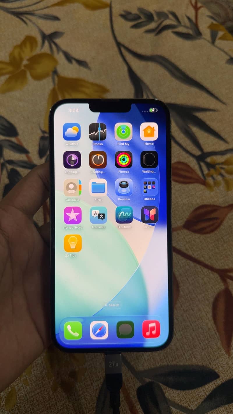 Apple iPhone 13 Pro Max 0