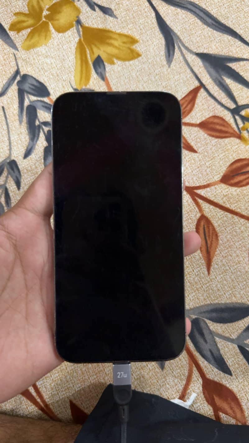 Apple iPhone 13 Pro Max 3