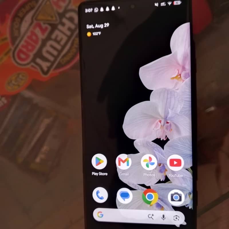 Google Pixel 6 Pro 1