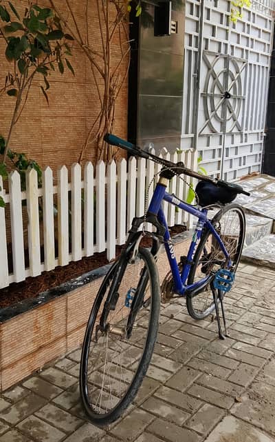 GIOS CYCLE