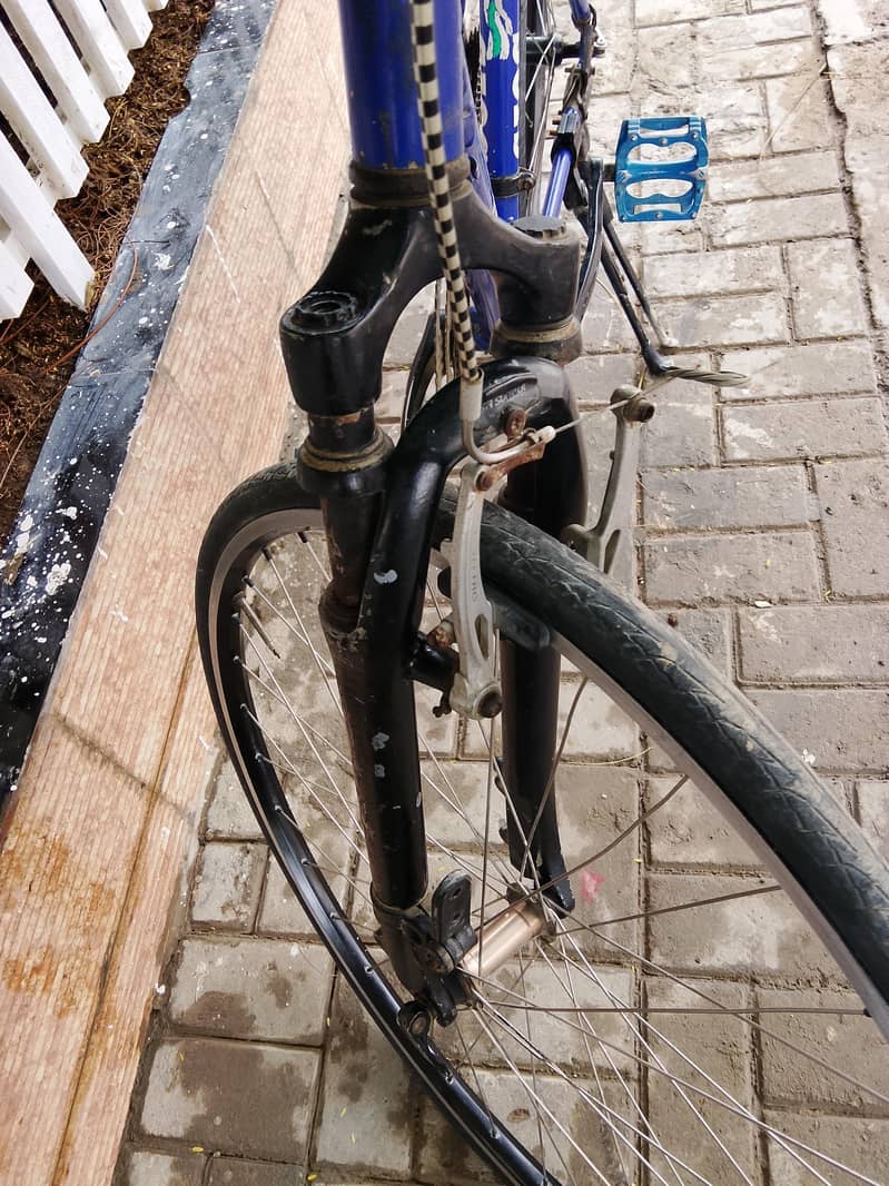 GIOS CYCLE 1