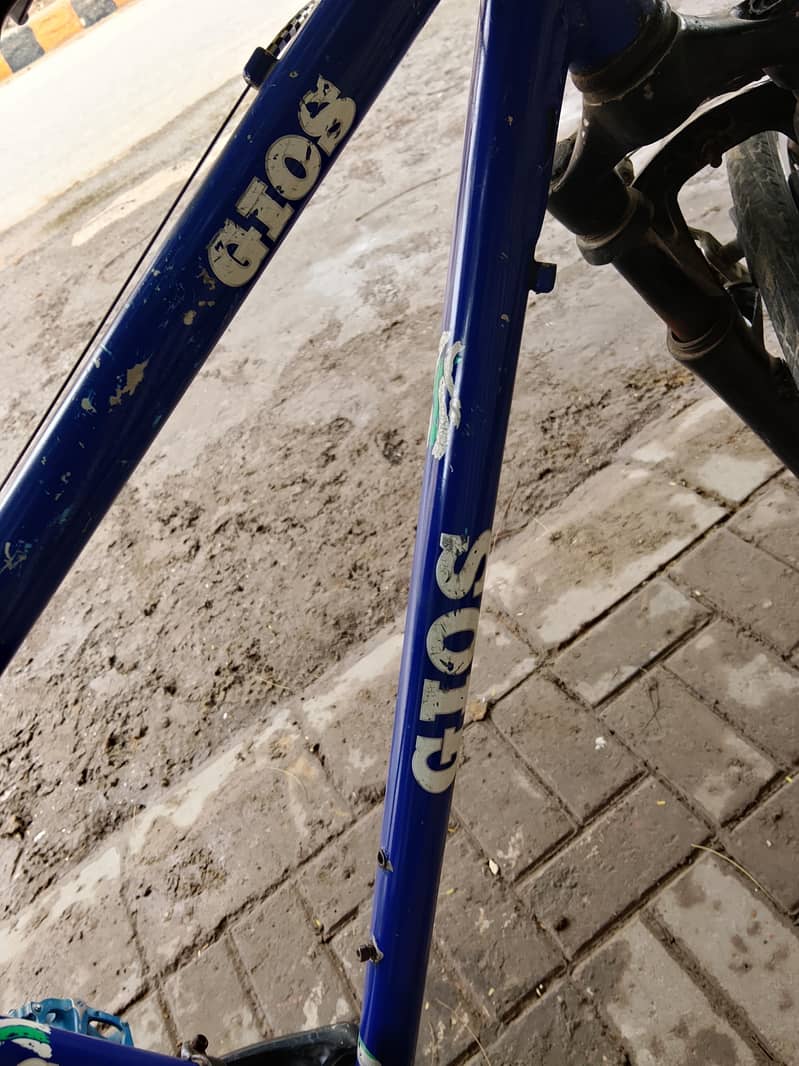 GIOS CYCLE 2