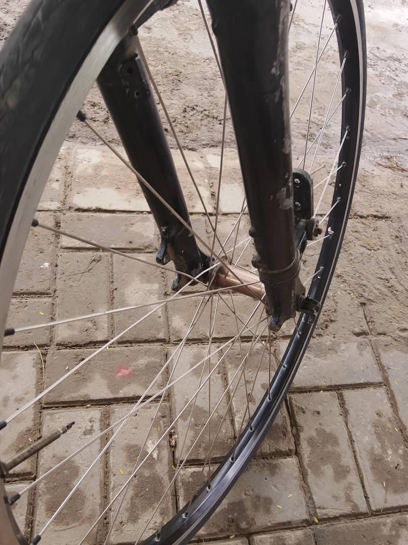 GIOS CYCLE 3