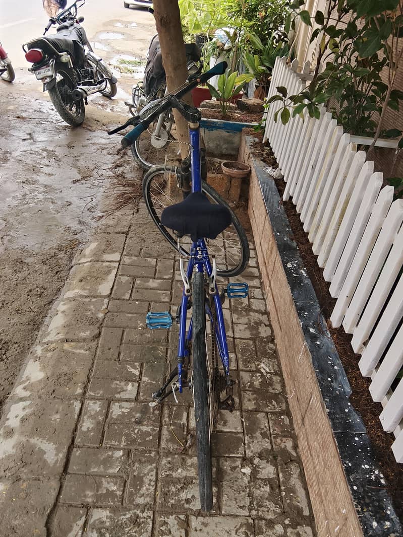 GIOS CYCLE 4