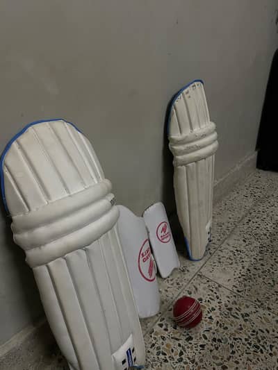 LEG PADS , THIGH PAD , ELBOW PAD AND BALL