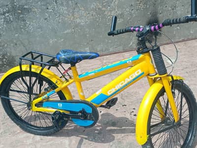 Bicycle 10 by 8