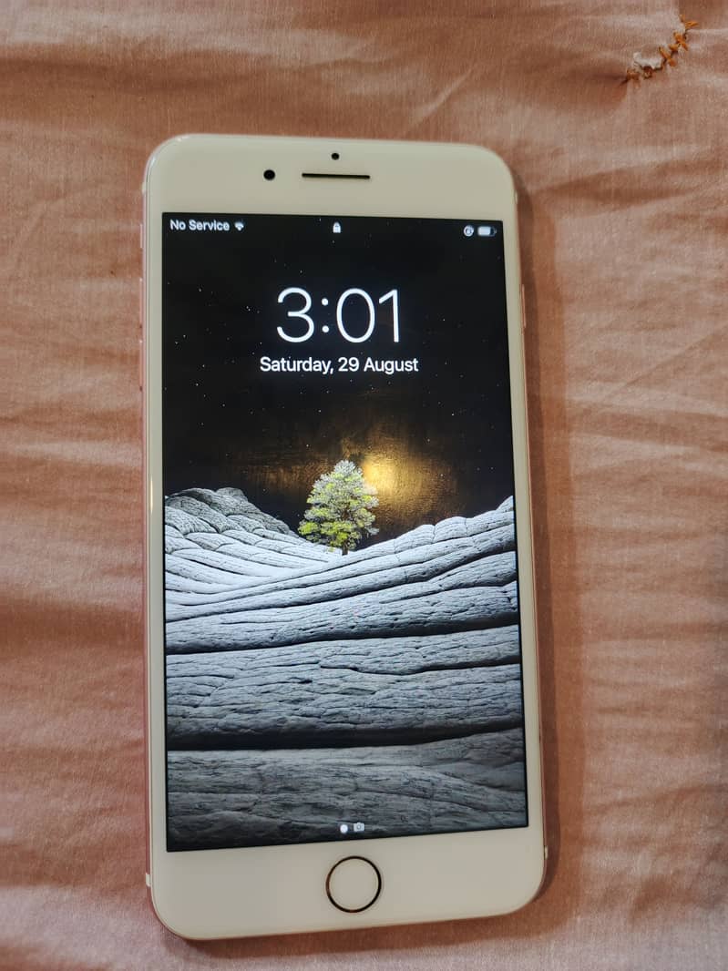 iPhone 6