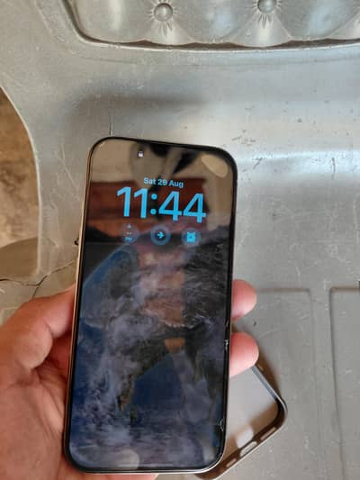 Apple iPhone 16 Pro