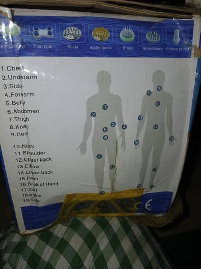 Whole body massagers