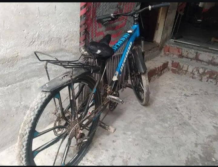mountain bicycle 1