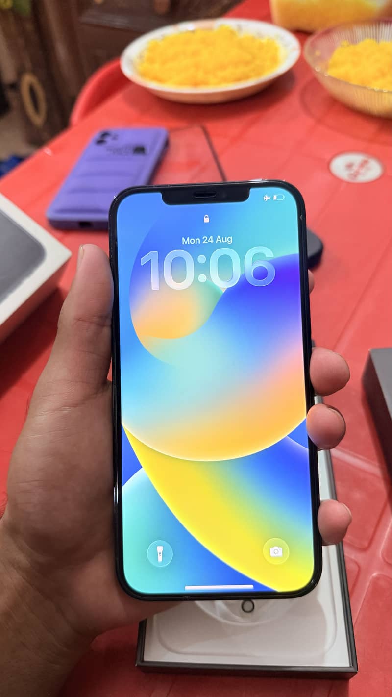 Apple iPhone 12 Pro Max 1