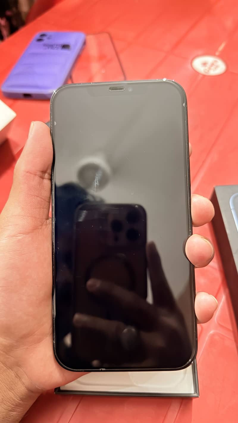 Apple iPhone 12 Pro Max 2