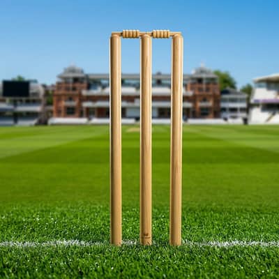 Premium Quality Wooden Cricket Stumps Set with Bails - Brand New