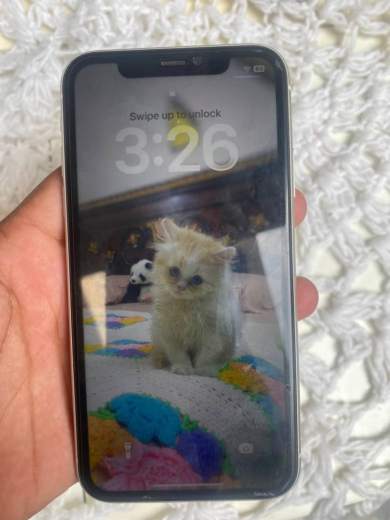 Apple iPhone 11 1