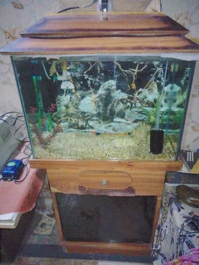 Full Aquarium Setup for Sale - 2x1x1.5 FT Glass Tank with Accessories
