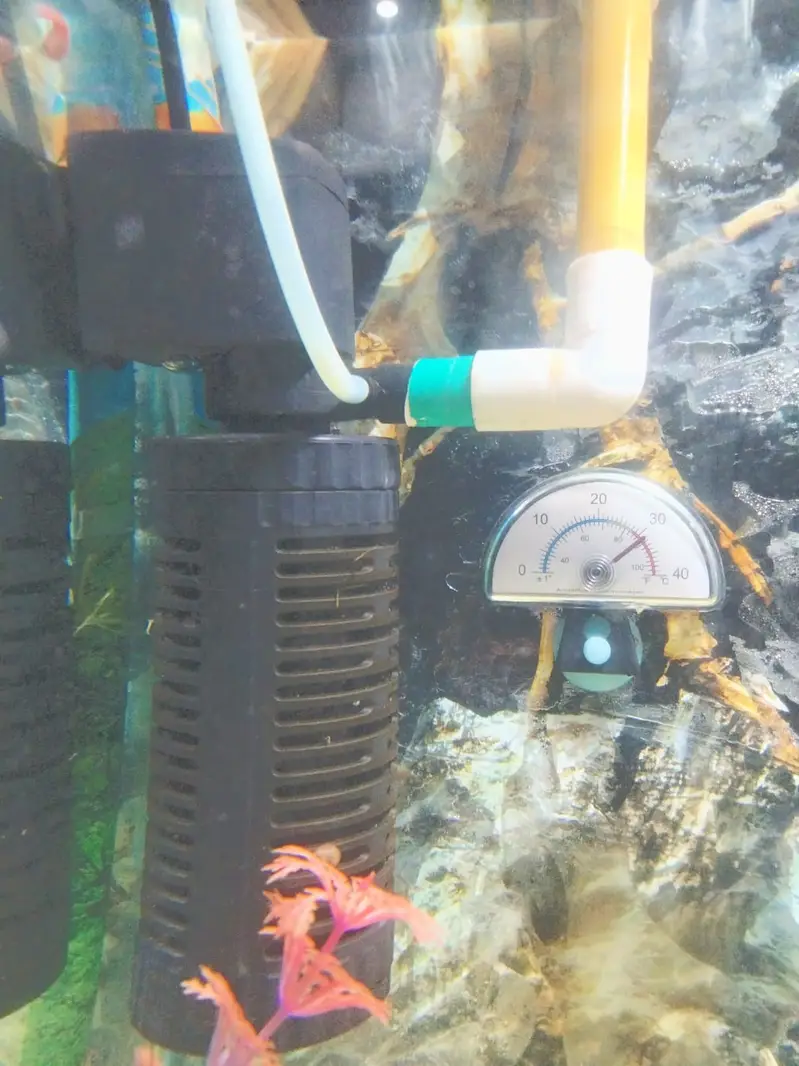 Full Aquarium Setup for Sale - 2x1x1.5 FT Glass Tank with Accessories — photo 10