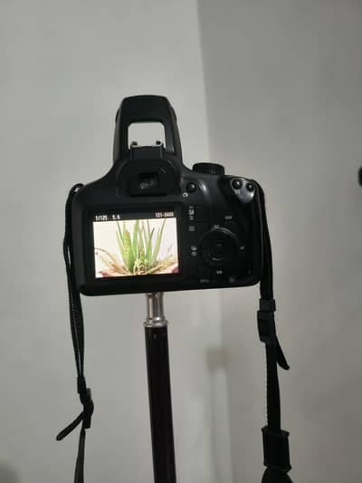 DSLR DIGITAL. 4000D