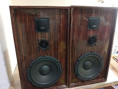 8inches hifi and premium look woofers with amplifier urgent for sell
