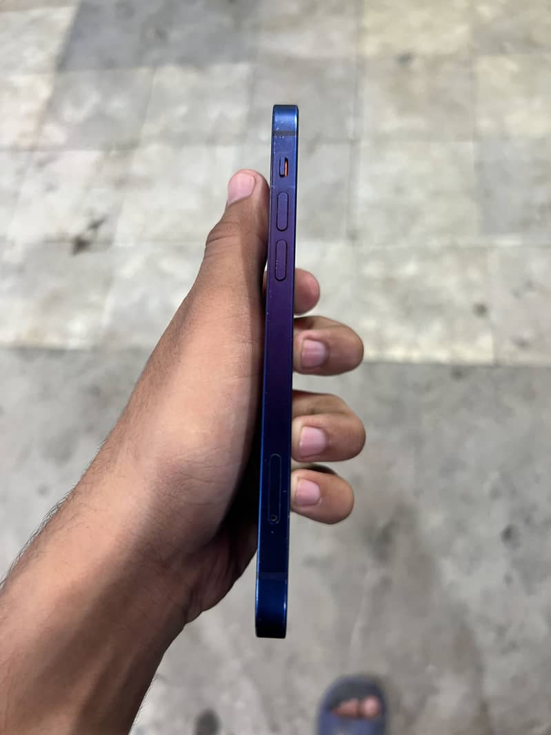 Apple iPhone 12 1
