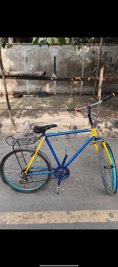 phorenex big cycle
