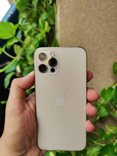 Apple iPhone 12 Pro