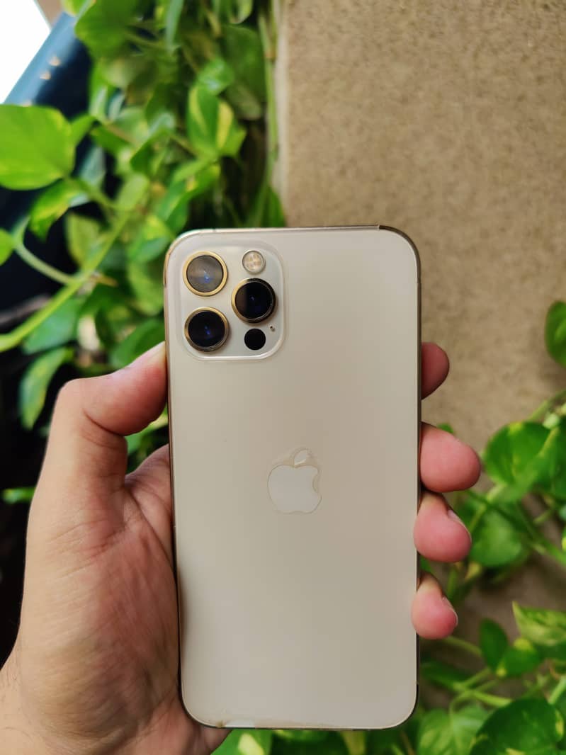 Apple iPhone 12 Pro 0