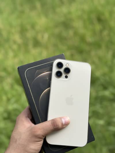 iPhone 12 Pro Max – PTA Approved