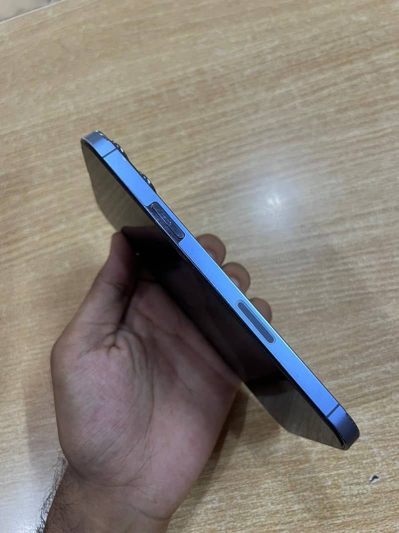 Apple iPhone 13 Pro Max 1