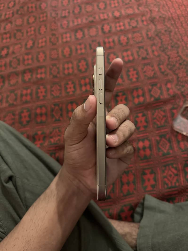 Apple iPhone 16 Pro Max 2