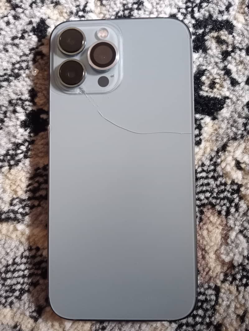 Apple iPhone 13 Pro Max 1