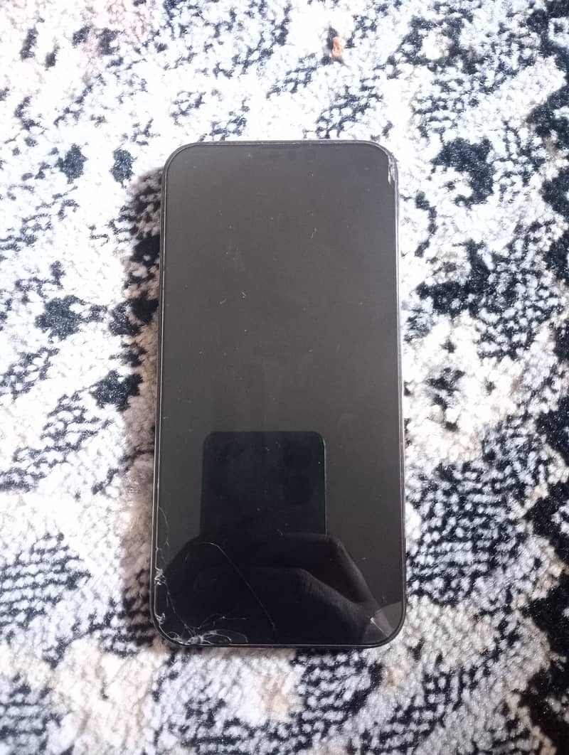 Apple iPhone 13 Pro Max 2