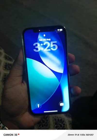 Apple iPhone 12 Pro
