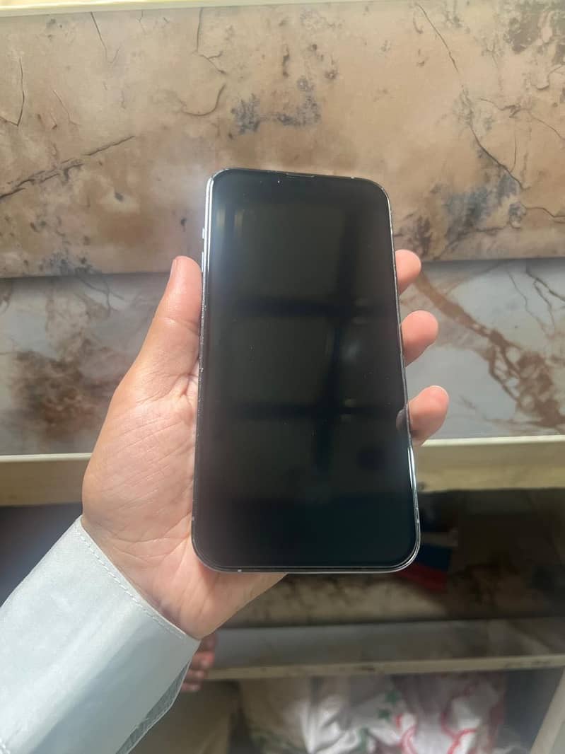 Apple iPhone 13 Pro Max 0