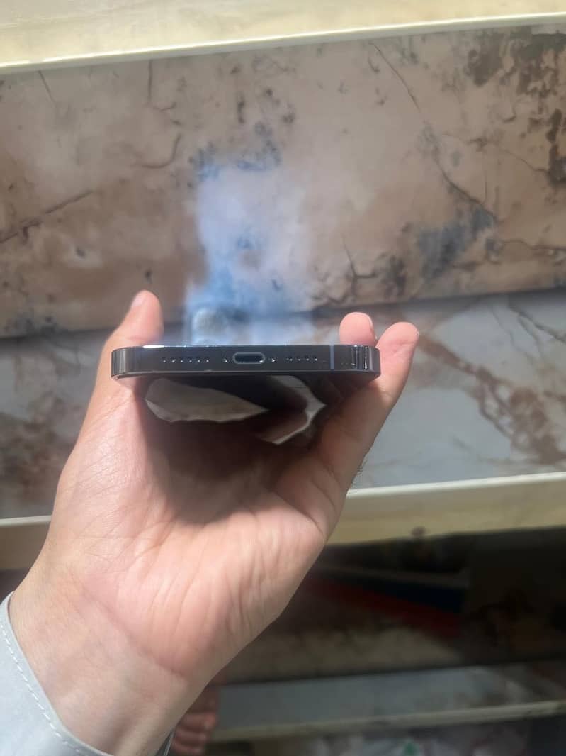 Apple iPhone 13 Pro Max 3
