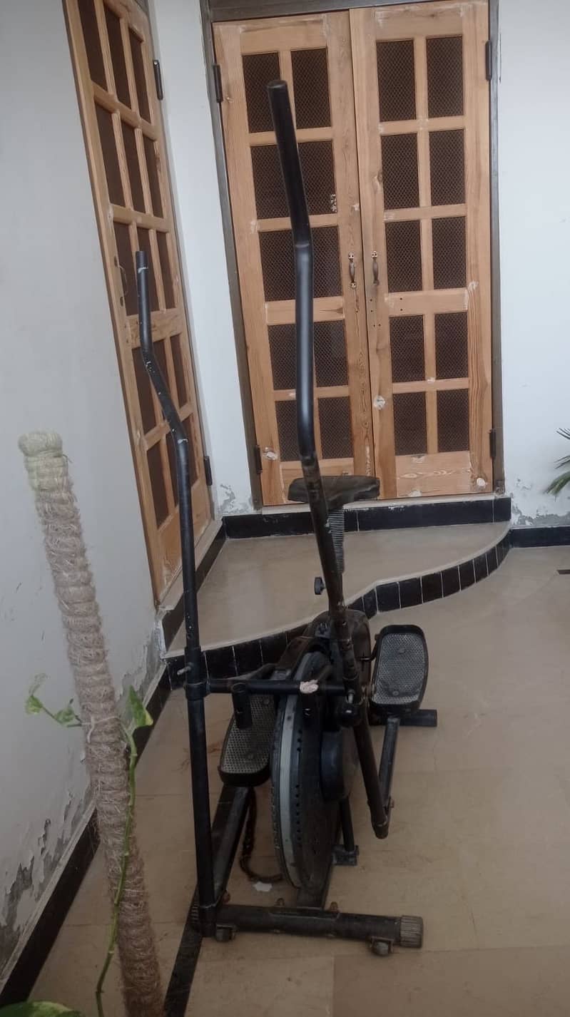 Elliptical Cycle 1