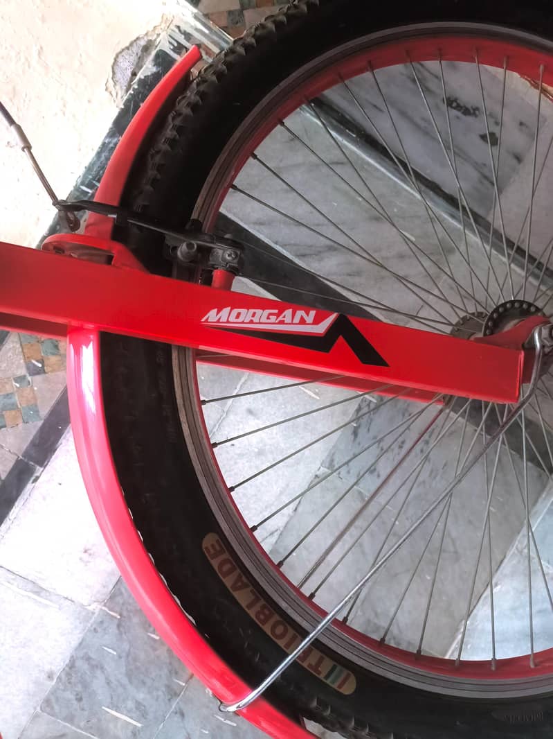 IMPORTANT CYCLE 4