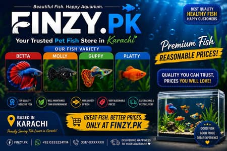 Molly fish,Betta,Guppy and Platy fishes