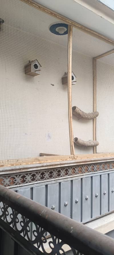 parrot cage fixed on wall steel net