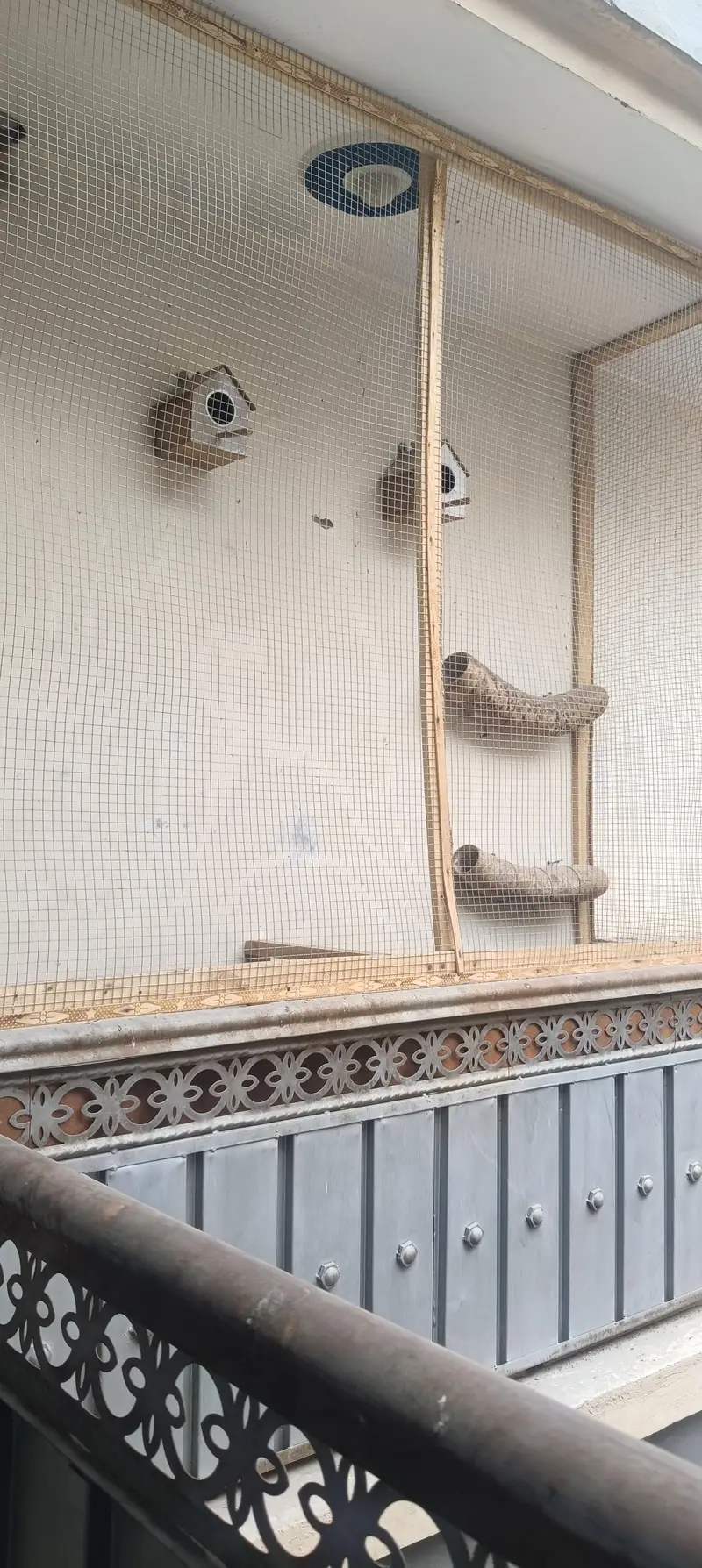 parrot cage fixed on wall steel net
