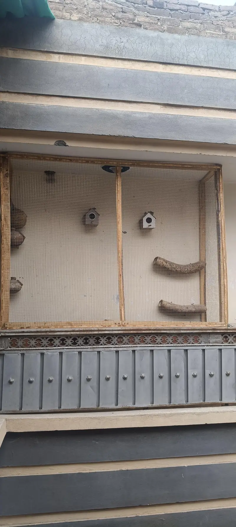 parrot cage fixed on wall steel net — photo 2
