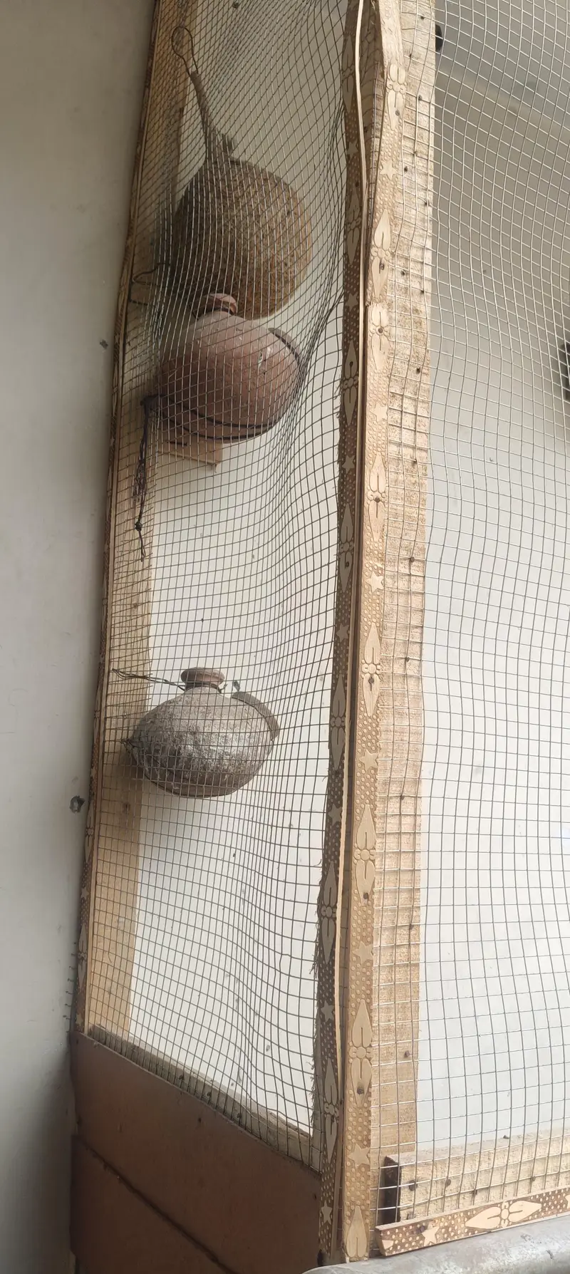 parrot cage fixed on wall steel net — photo 3