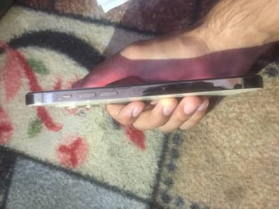 Apple iPhone 12 Pro Max