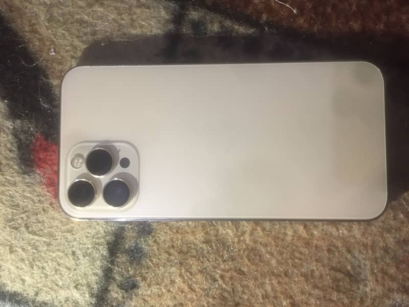 Apple iPhone 12 Pro Max 1
