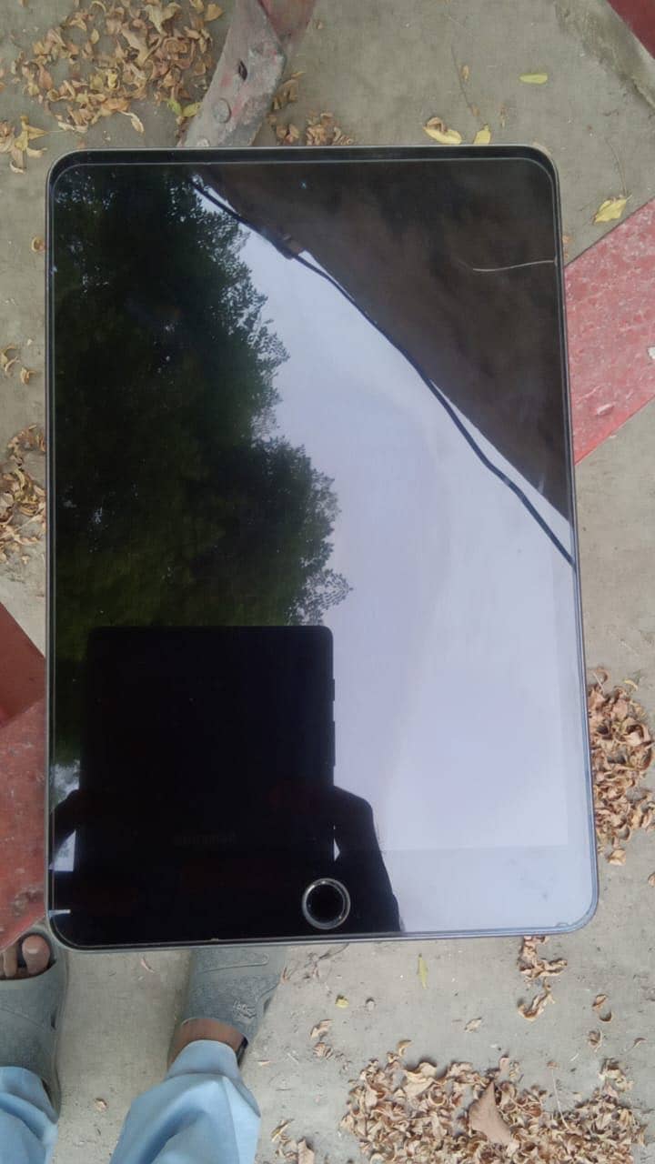 iPad mini 5 3