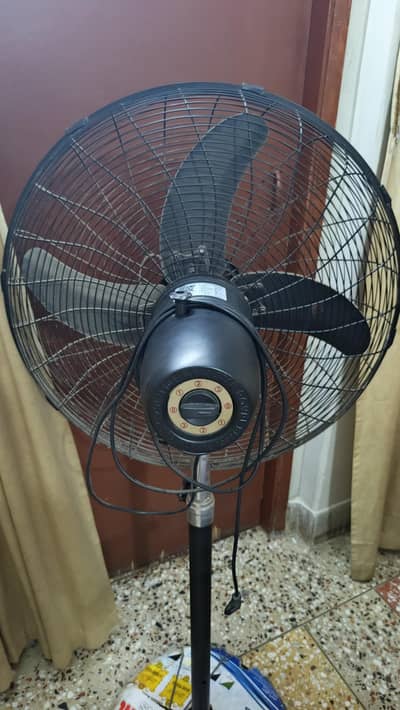 Royal Deluxe Pedestal Fan (Used)