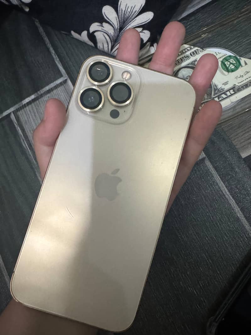 Apple iPhone 13 Pro Max 0