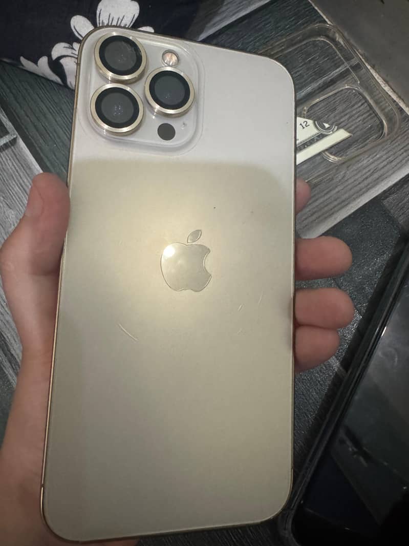 Apple iPhone 13 Pro Max 1